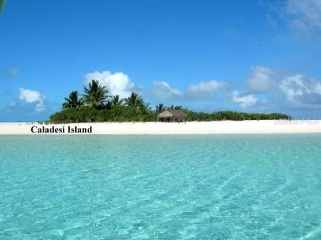 1701 Pinehurst Road #24B Dunedin FL 34698 TB8403898 image70