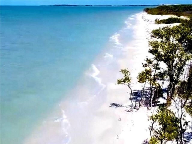 1701 Pinehurst Road #24B Dunedin FL 34698 TB8403898 image73