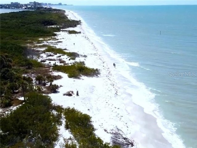 1701 Pinehurst Road #24B Dunedin FL 34698 TB8403898 image74