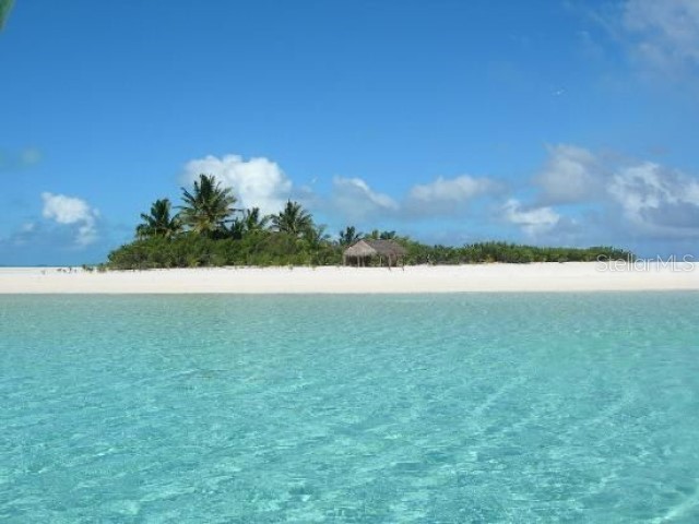 1701 Pinehurst Road #24B Dunedin FL 34698 TB8403898 image79