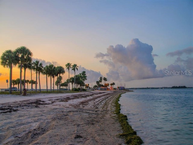 1701 Pinehurst Road #24B Dunedin FL 34698 TB8403898 image80