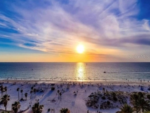 1701 Pinehurst Road #24B Dunedin FL 34698 TB8403898 image81