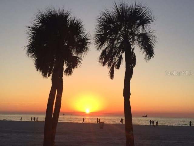 1701 Pinehurst Road #24B Dunedin FL 34698 TB8403898 image82