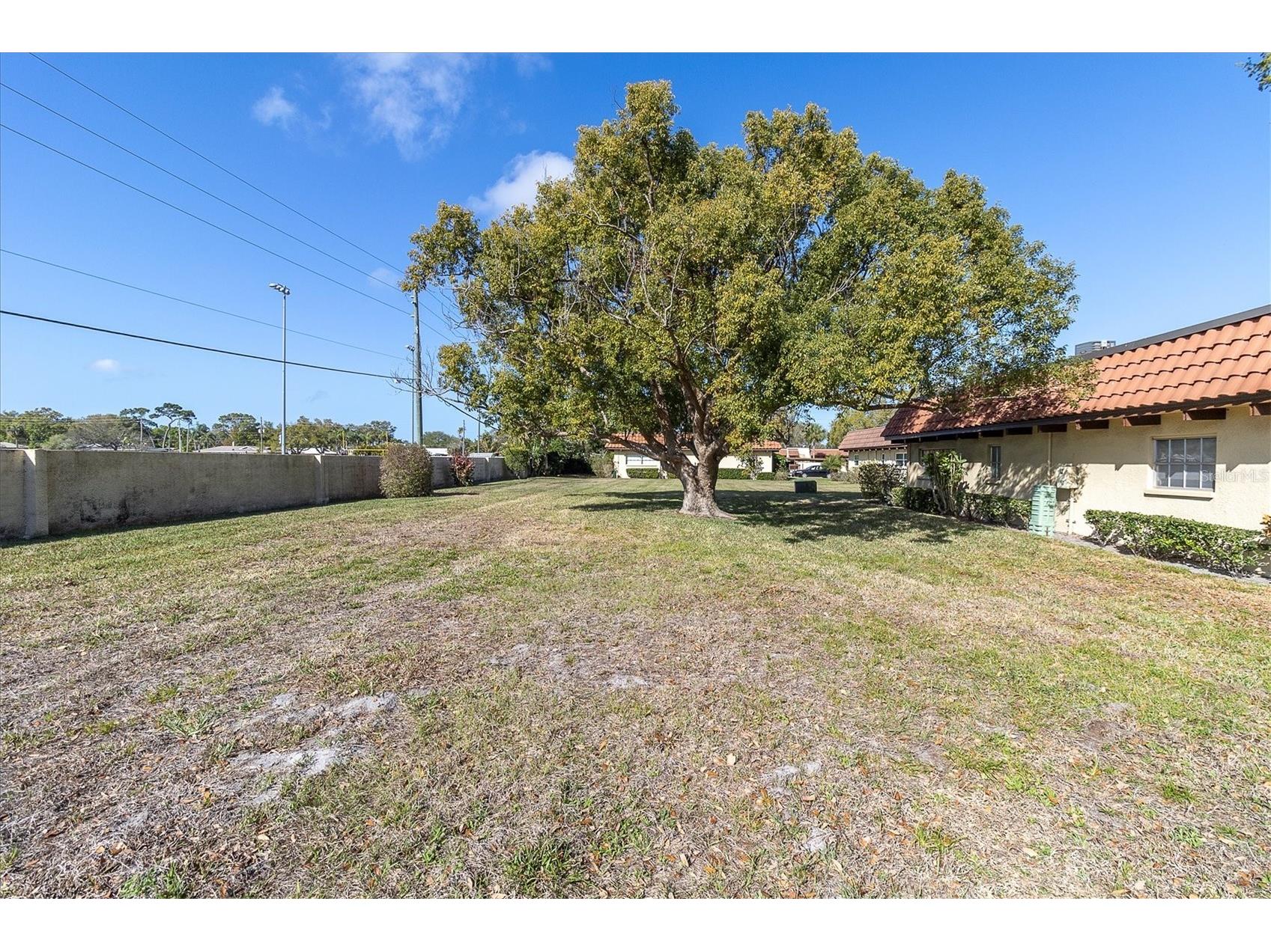 1701 Pinehurst Road #6A Dunedin FL 34698 W7883505 image26