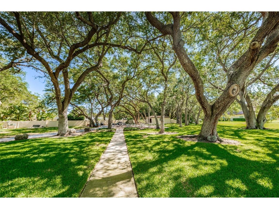 1701 Pinehurst Road #9-H Dunedin FL 34698 TB8434029 image60