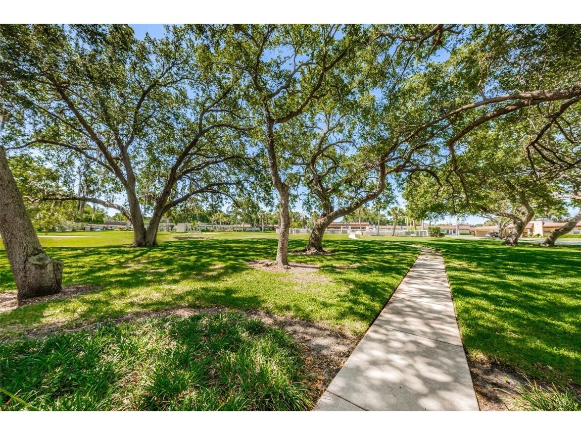 1701 Pinehurst Road #9-H Dunedin FL 34698 TB8434029 image65