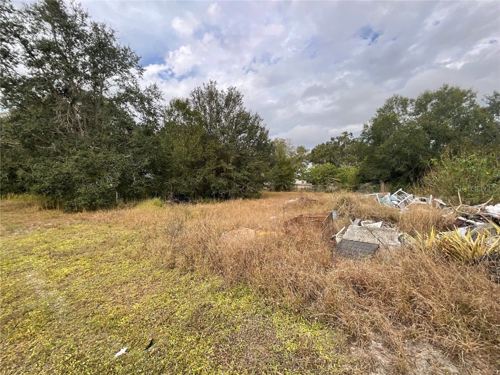 1701 Sanford Street Lake Wales FL 33859 S5139935 image17