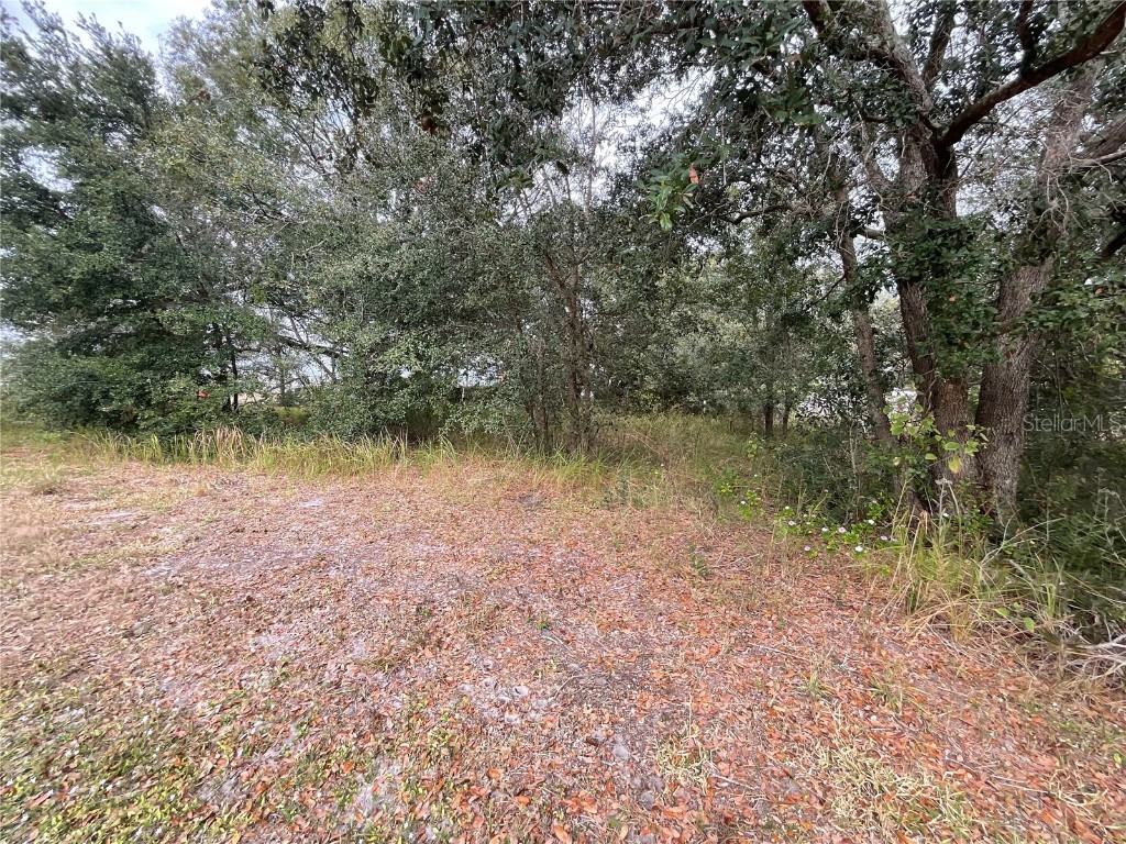 1701 Sanford Street Lake Wales FL 33859 S5139935 image18