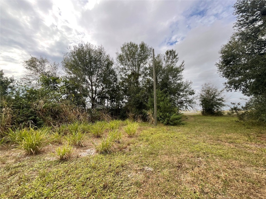 1701 Sanford Street Lake Wales FL 33859 S5139935 image19