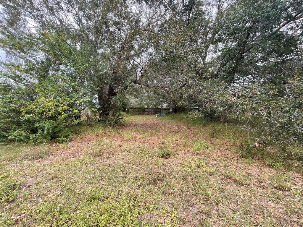 1701 Sanford Street Lake Wales FL 33859 S5139935 image20