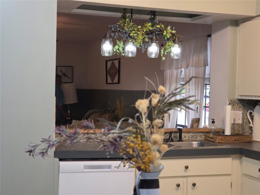 1701 SE 24th Road #1901 Ocala FL 34471 OM709350 image8