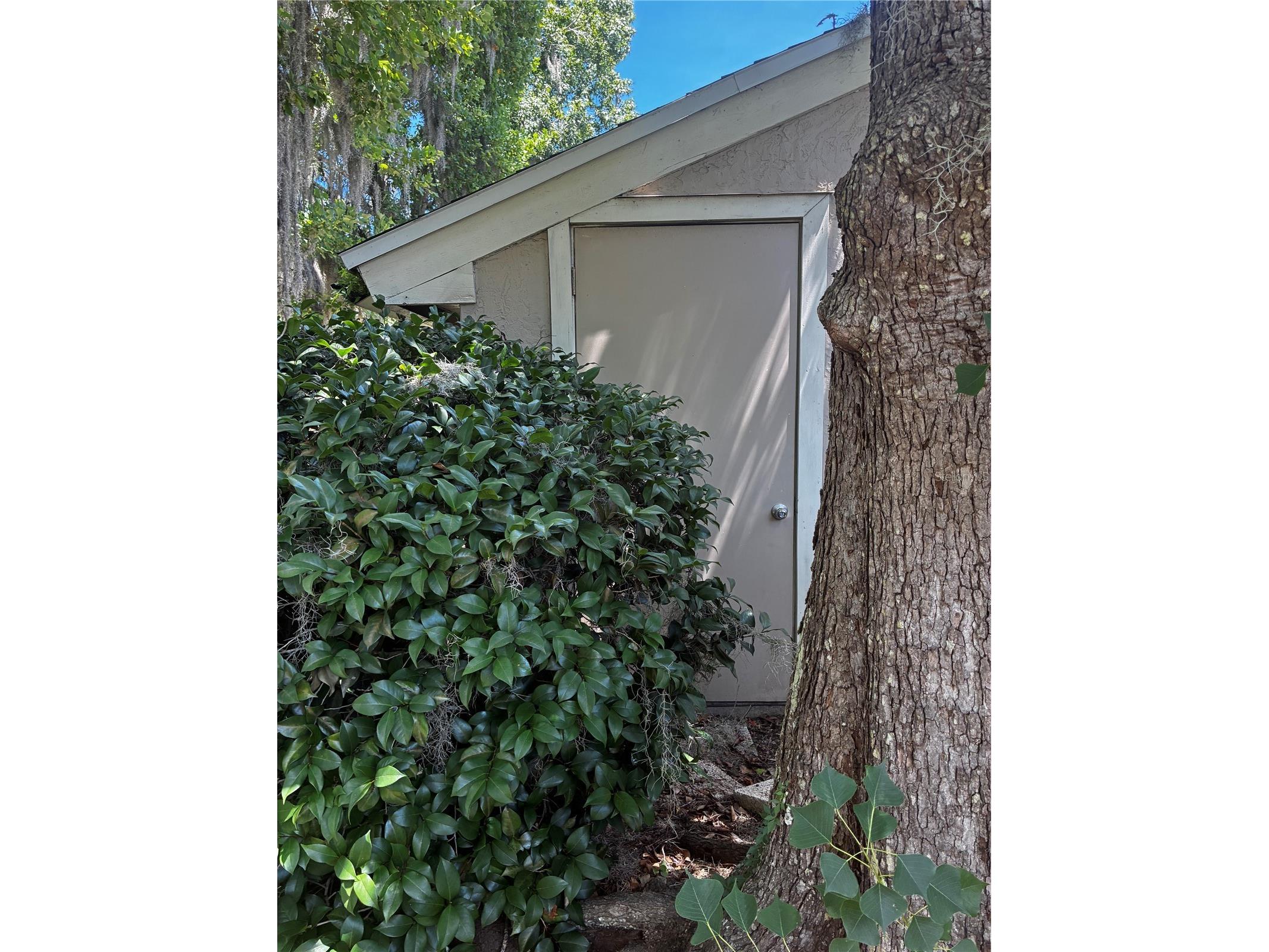 1701 SE 24th Road #201 Ocala FL 34471 OM729092 image5