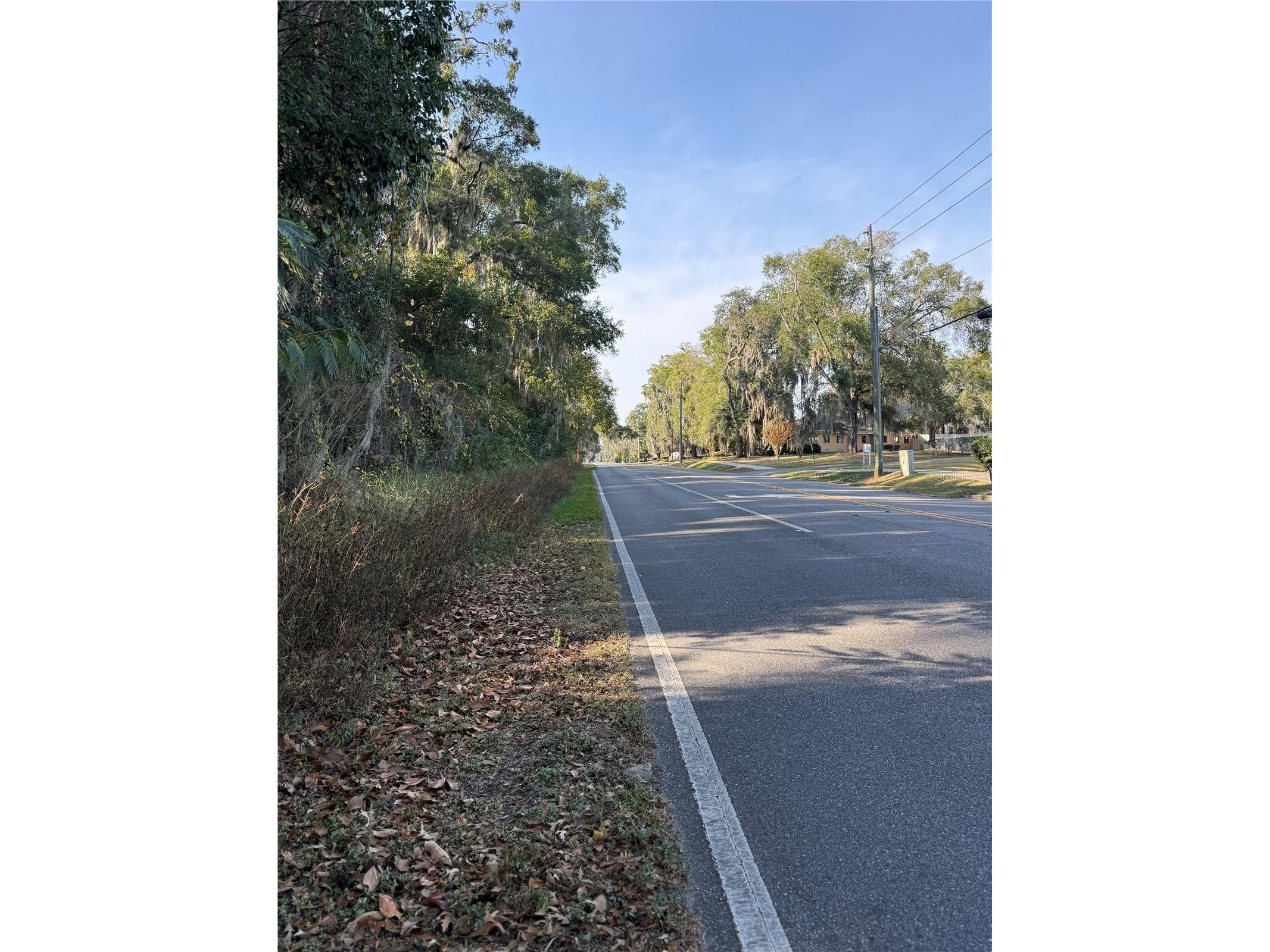 1701 SE 24th Road #202 Ocala FL 34471 OM714622 image36