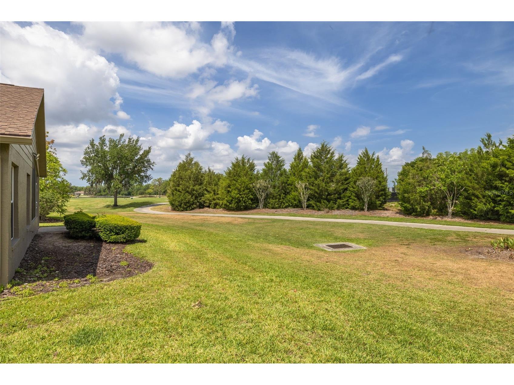 1701 Westerham Loop Trinity FL 34655 TB8506051 image3