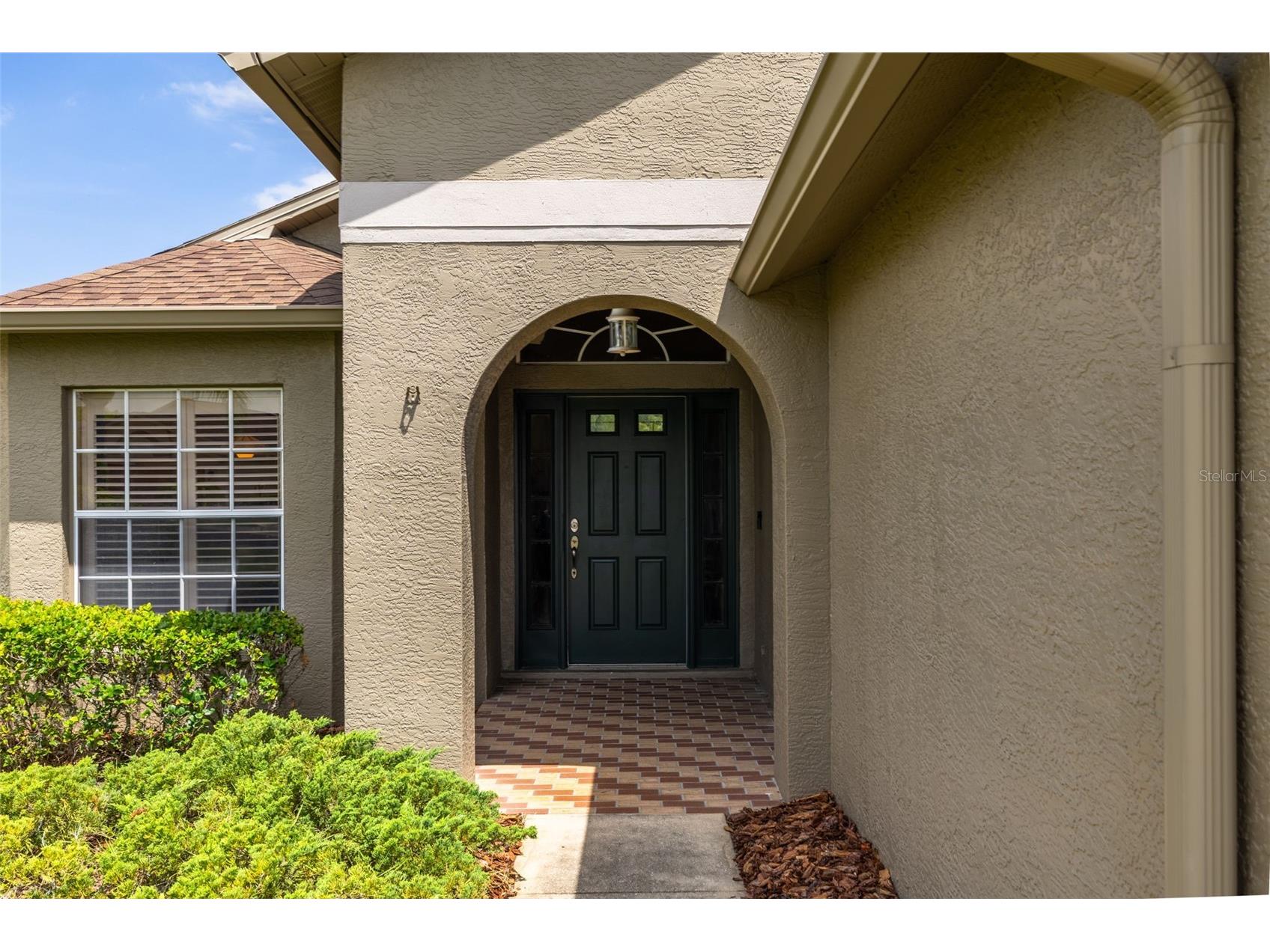 1701 Westerham Loop Trinity FL 34655 TB8506051 image33