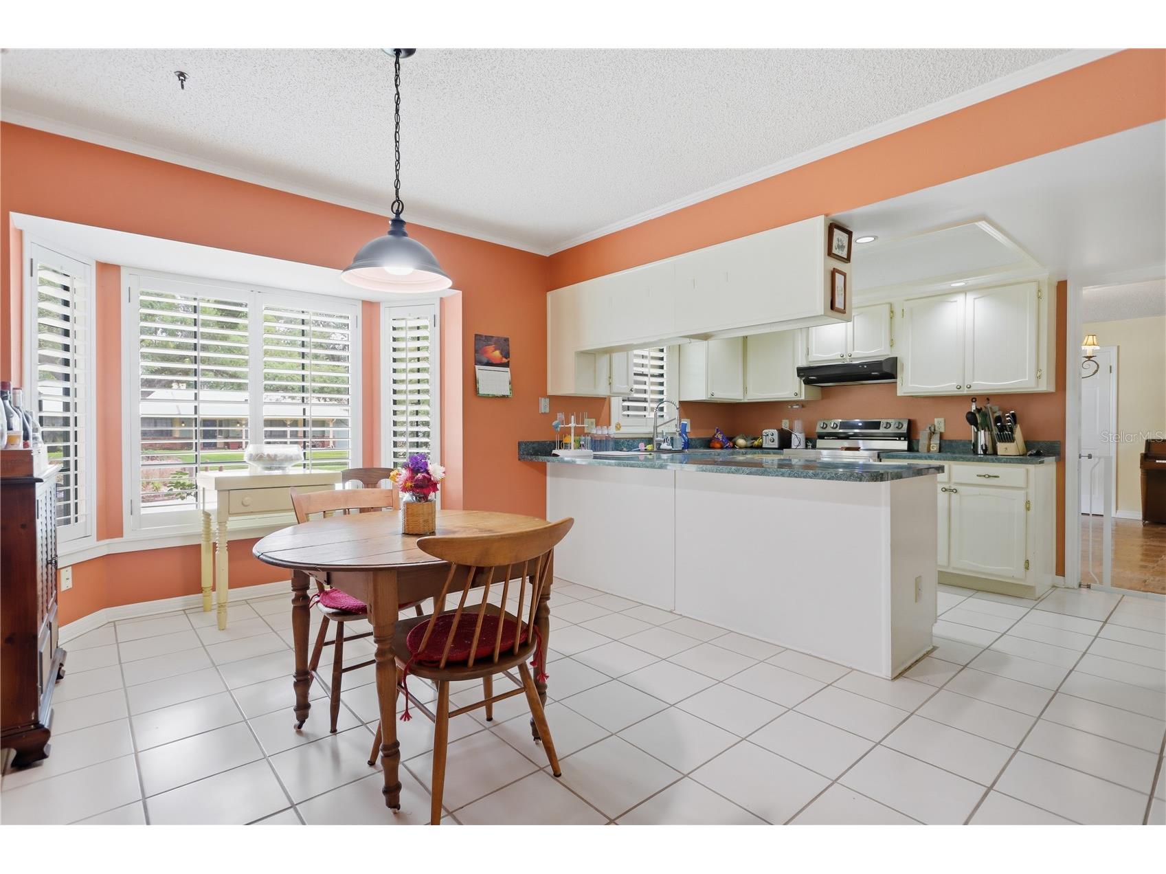 1701 Wind Willow Road Orlando FL 32809 - LAKE CONWAY V4949564 image10