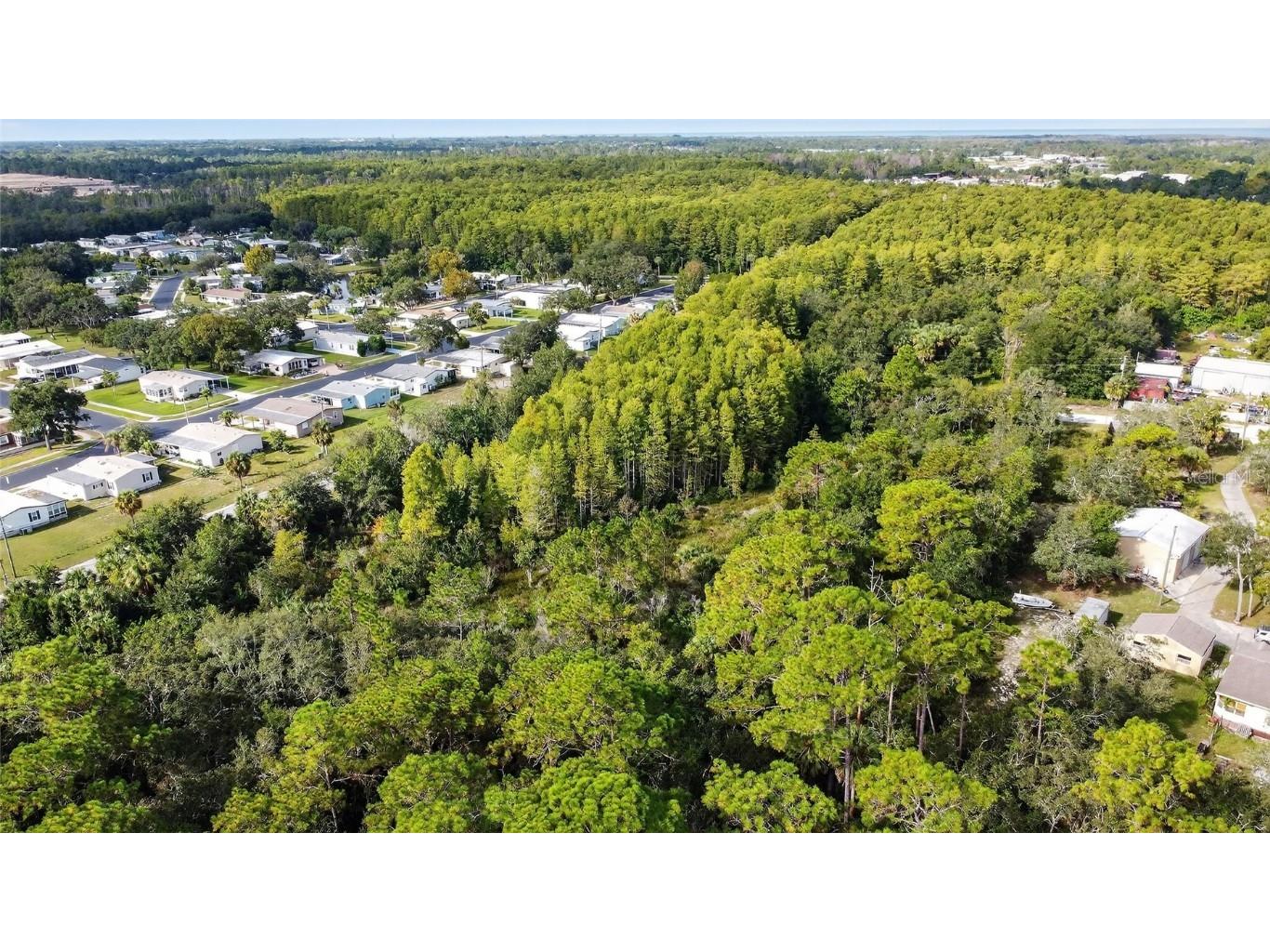 17010 Ridgeline Trail Hudson FL 34667 W7879409 image3