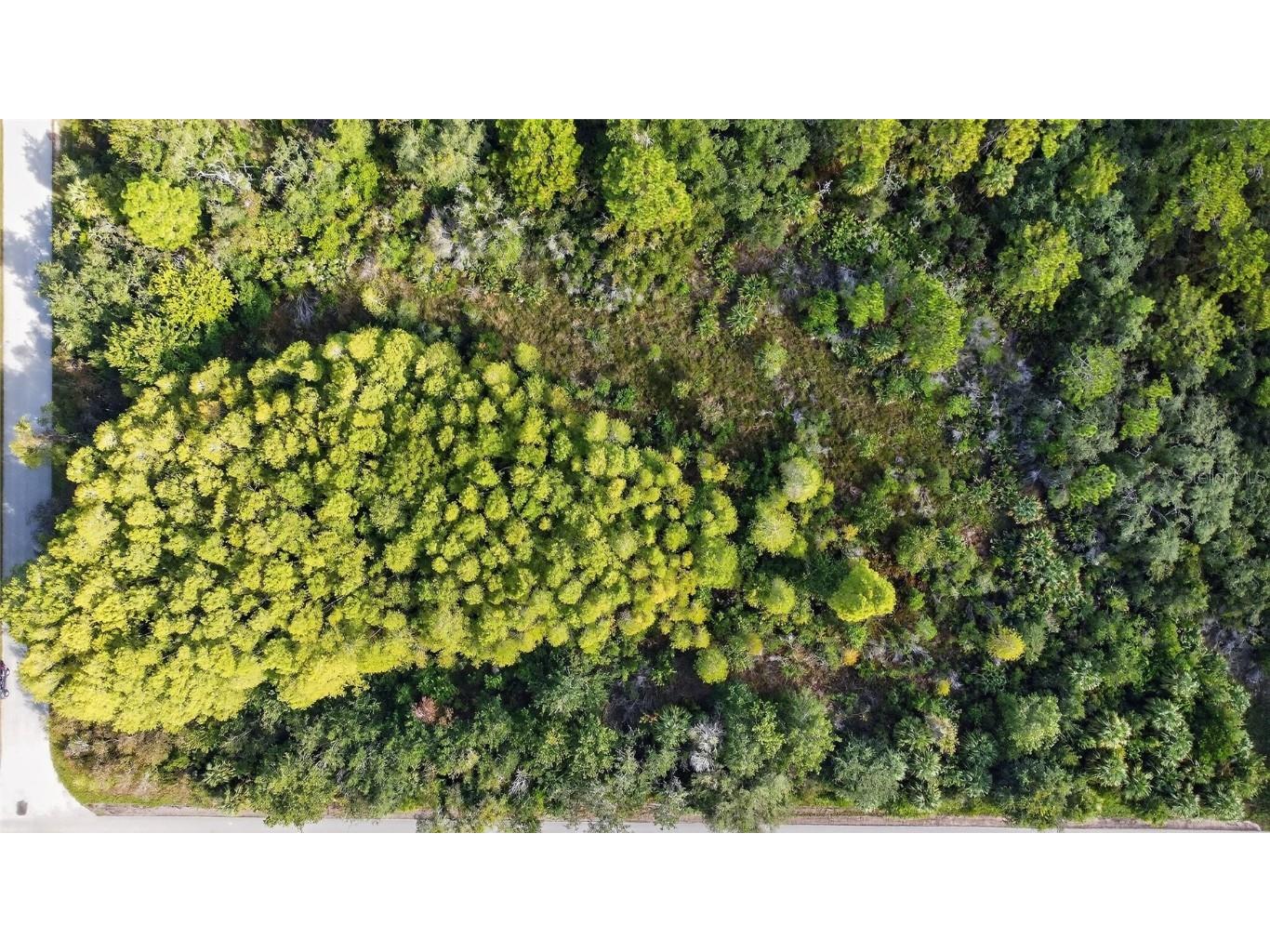 17010 Ridgeline Trail Hudson FL 34667 W7879409 image4