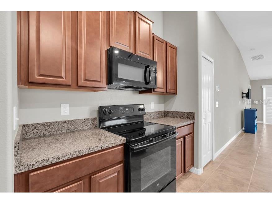 17010 Yellow Pine Street Wimauma FL 33598 TB8529809 image17