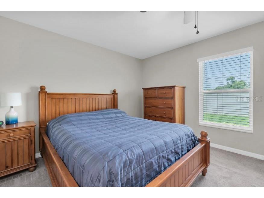 17010 Yellow Pine Street Wimauma FL 33598 TB8529809 image22