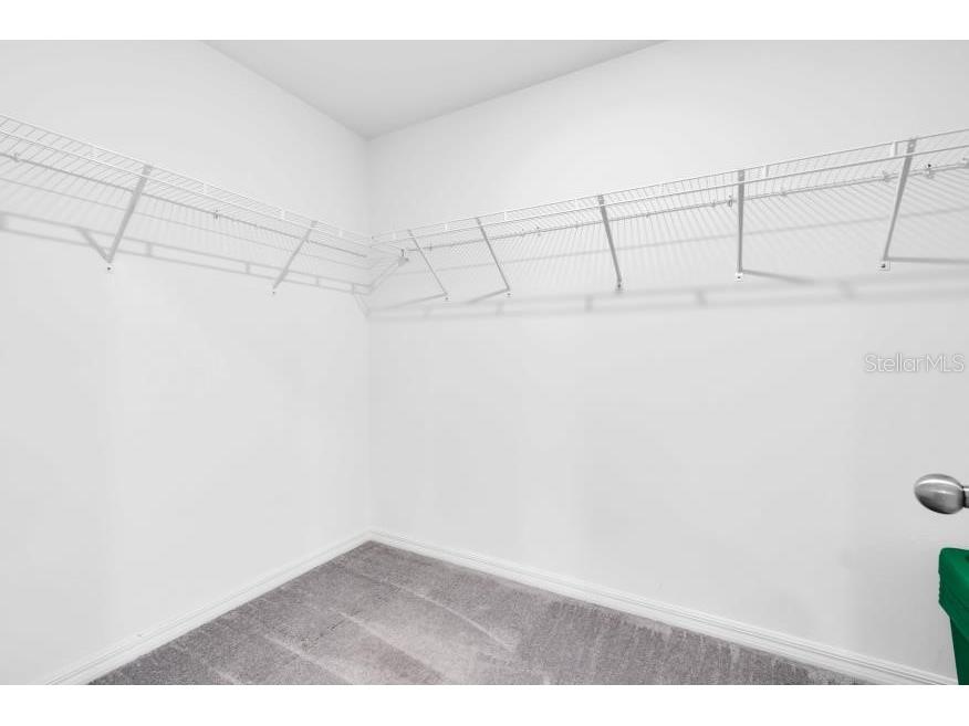 17010 Yellow Pine Street Wimauma FL 33598 TB8529809 image24