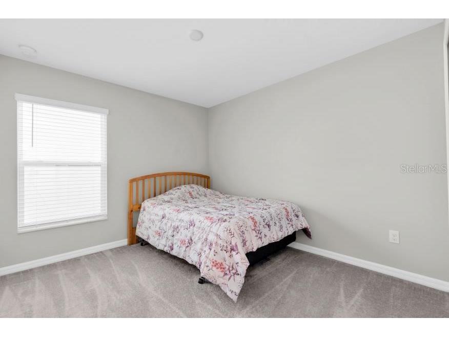 17010 Yellow Pine Street Wimauma FL 33598 TB8529809 image27