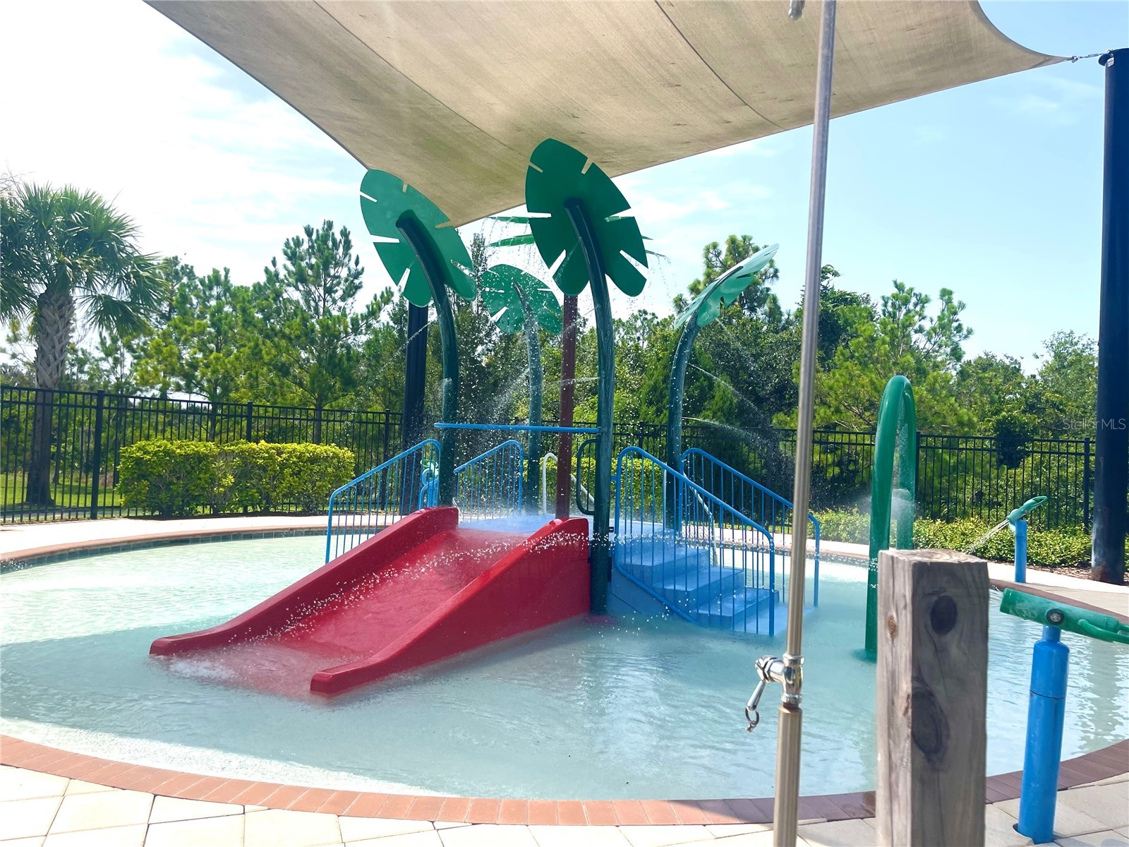 17010 Yellow Pine Street Wimauma FL 33598 TB8529809 image34