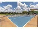 17010 Yellow Pine Street Wimauma FL 33598 TB8529809 image37