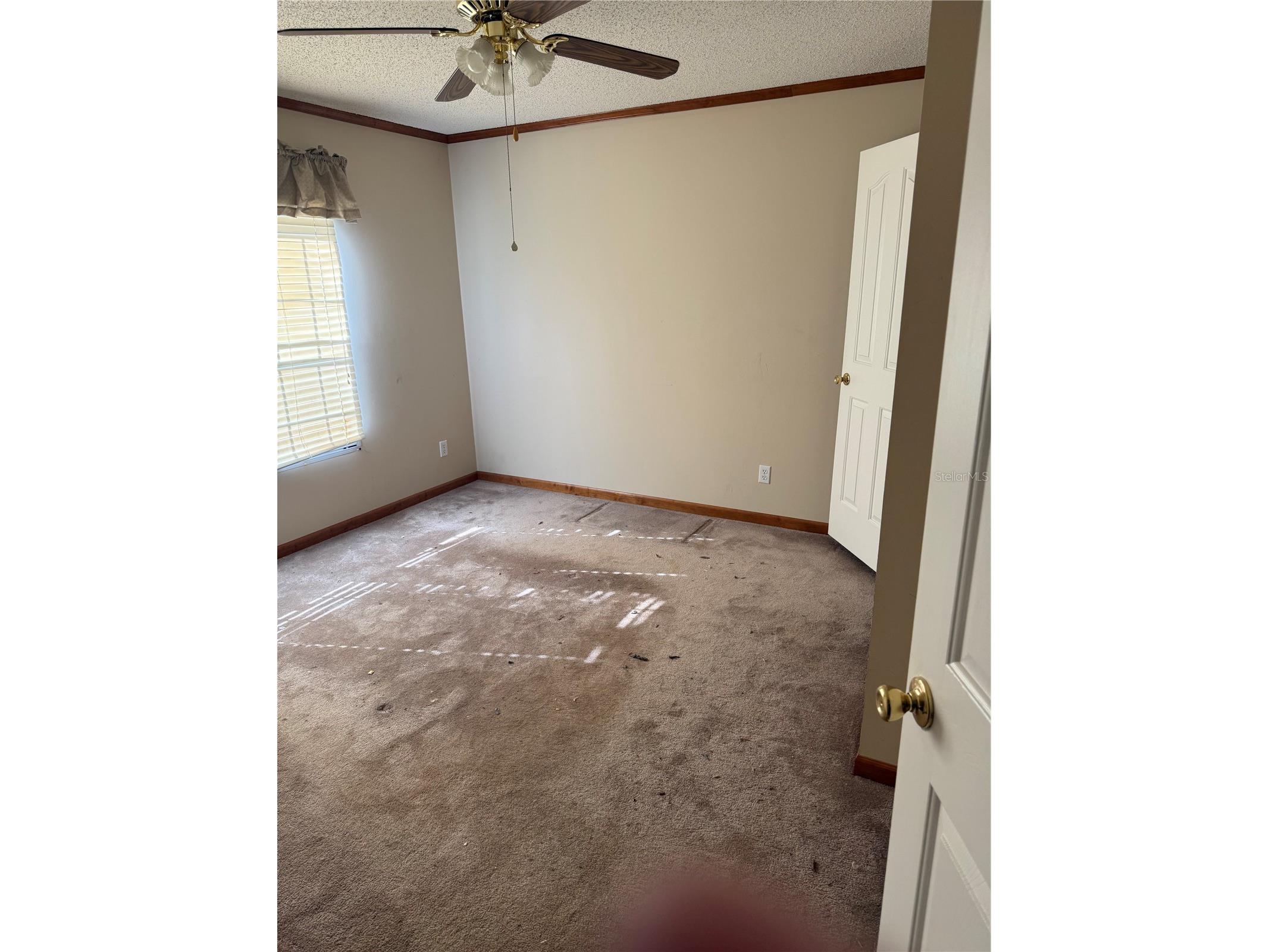 17011 Alderman Turner Road Wimauma FL 33598 TB8487284 image11