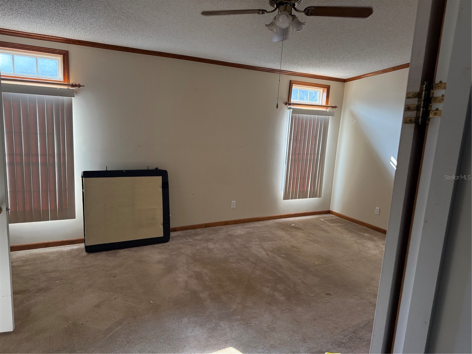 17011 Alderman Turner Road Wimauma FL 33598 TB8487284 image14