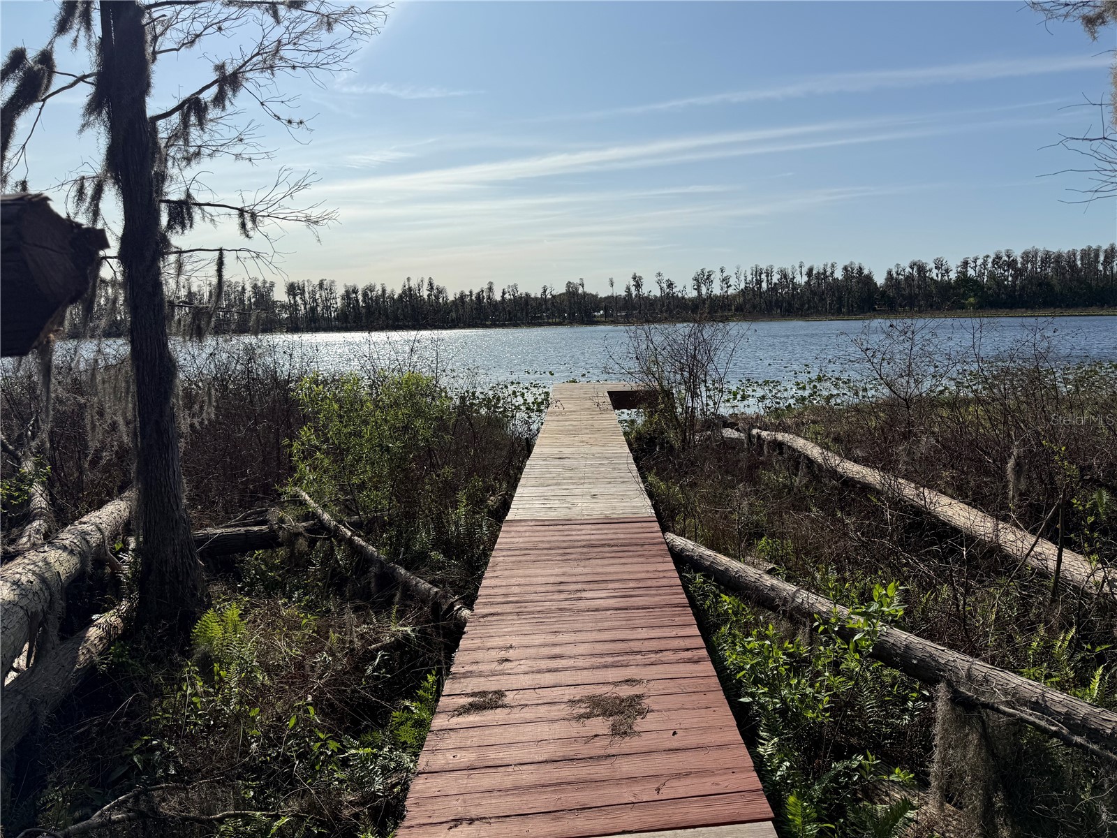 17011 Alderman Turner Road Wimauma FL 33598 TB8487284 image5