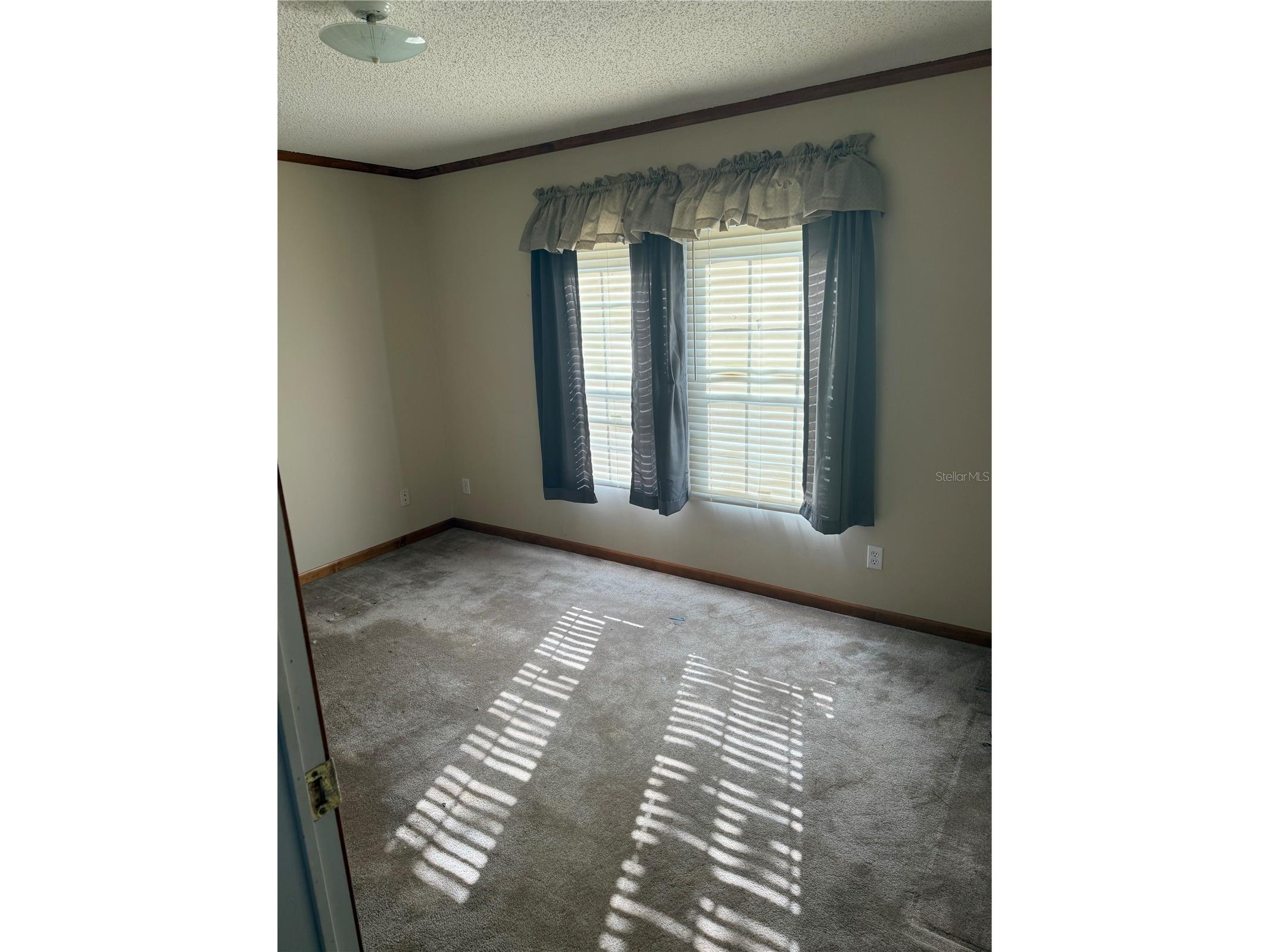 17011 Alderman Turner Road Wimauma FL 33598 TB8487284 image9