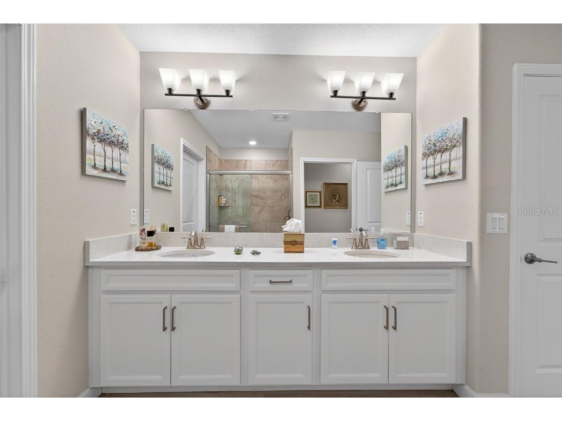 17011 Clear Cork Drive Wimauma FL 33598 TB8456981 image13