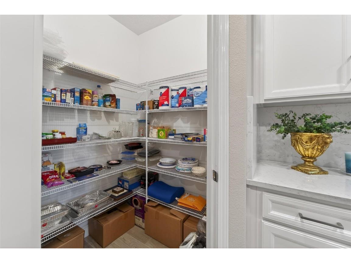 17011 Clear Cork Drive Wimauma FL 33598 TB8456981 image17