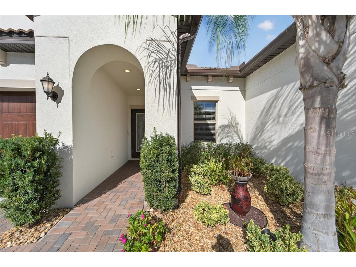 17011 Clear Cork Drive Wimauma FL 33598 TB8456981 image32