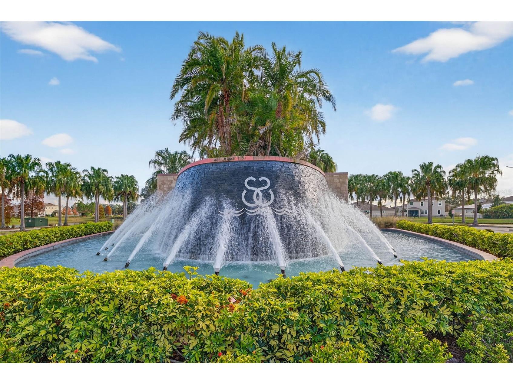 17012 Oval Rum Drive Wimauma FL 33598 TB8463332 image21