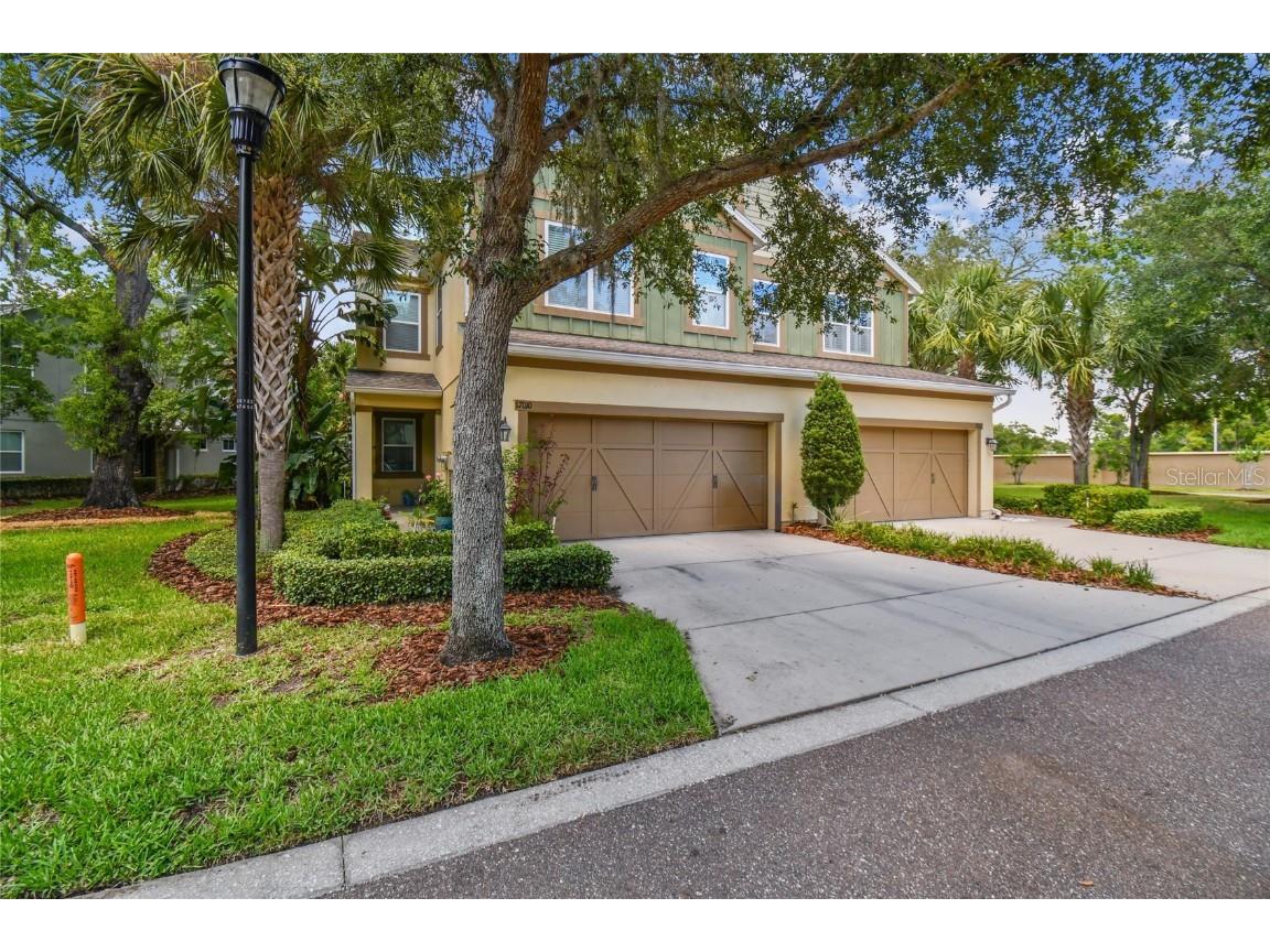 17012 Vilesta Drive Lutz FL 33548 T3542593 image1