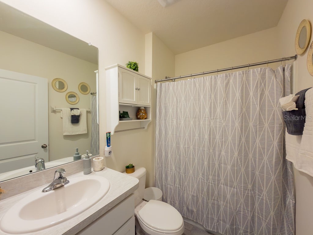 17014 Blister Wing Drive Wimauma FL 33598 A4693480 image14