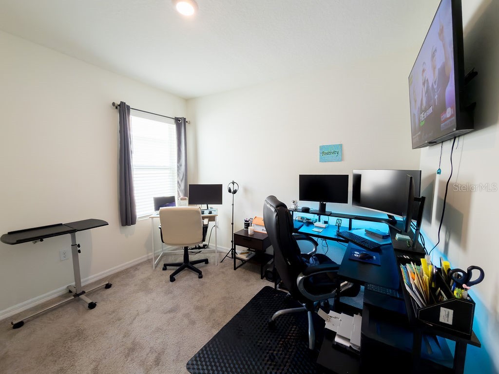 17014 Blister Wing Drive Wimauma FL 33598 A4693480 image16