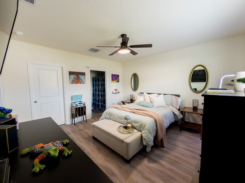 17014 Blister Wing Drive Wimauma FL 33598 A4693480 image19
