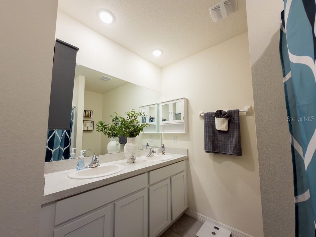 17014 Blister Wing Drive Wimauma FL 33598 A4693480 image20