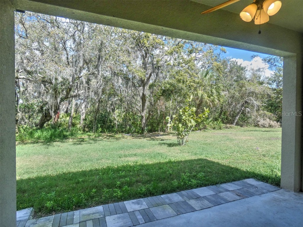 17014 Oval Rum Drive Wimauma FL 33598 TB8355023 image10