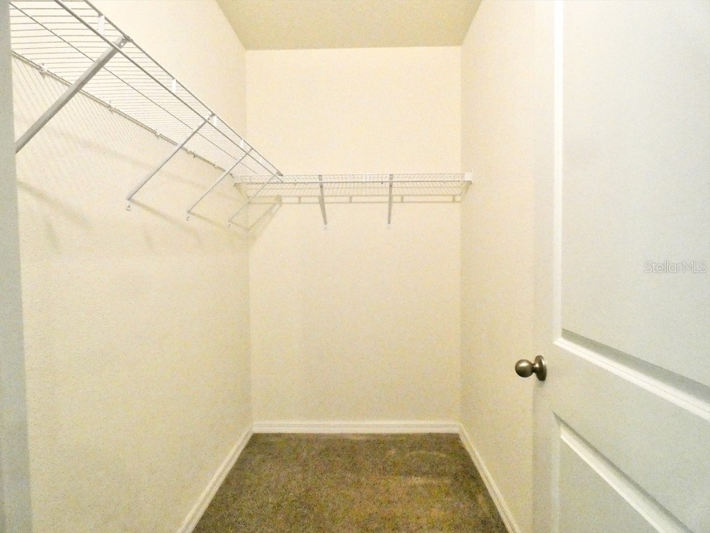 17014 Oval Rum Drive Wimauma FL 33598 TB8355023 image16