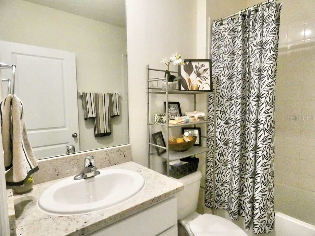 17014 Oval Rum Drive Wimauma FL 33598 TB8355023 image25