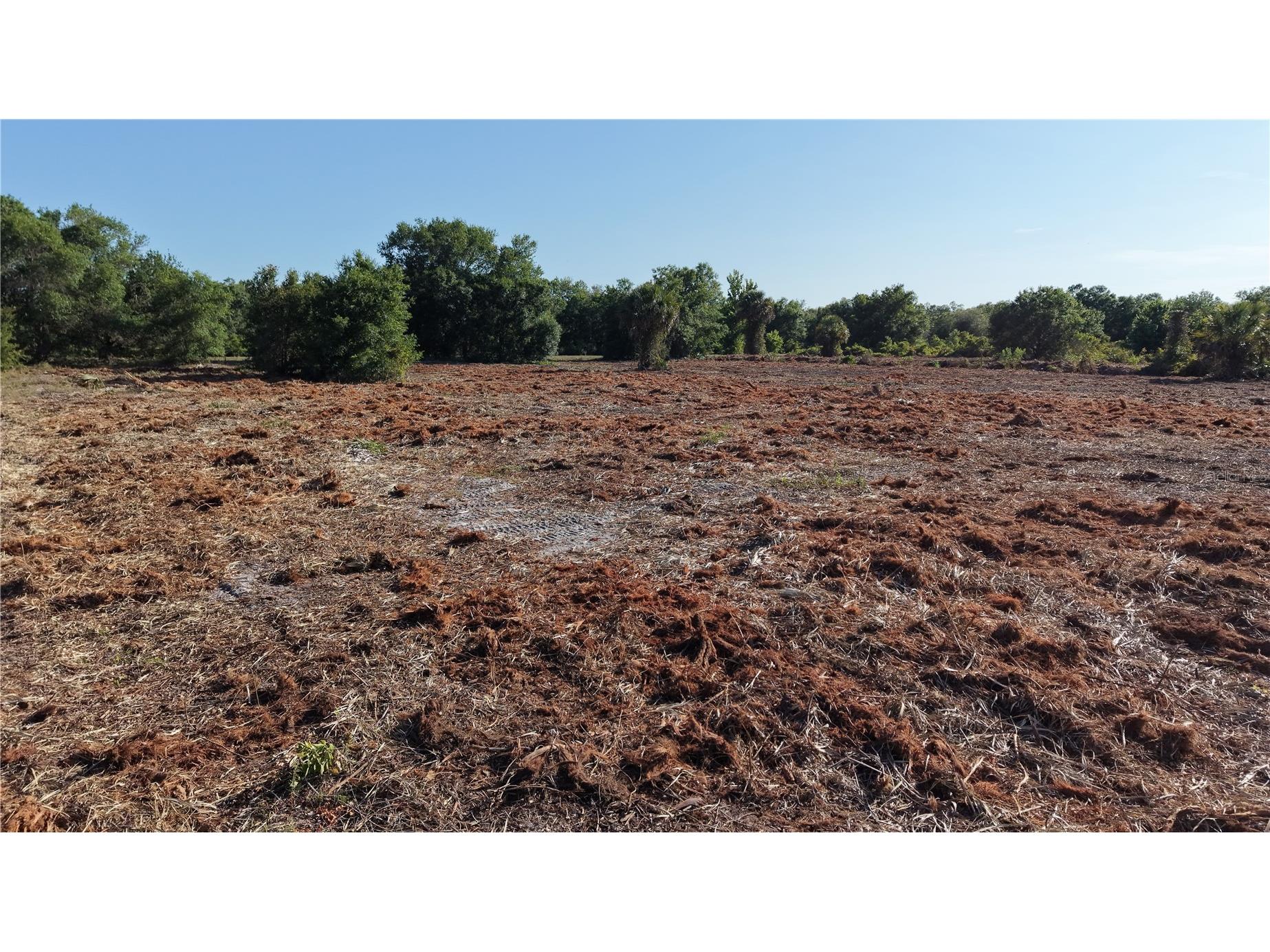 17017 NW 262nd Street Okeechobee FL 34972 O6420860 image3