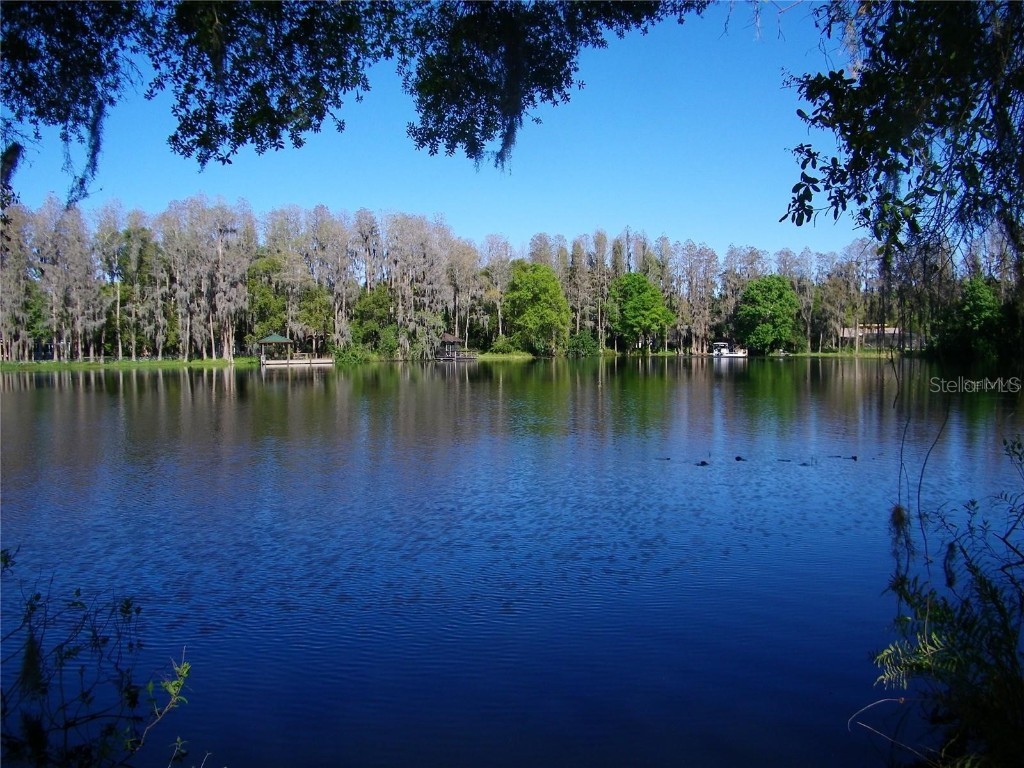 17017 Paula Lane Lutz FL 33558 - LKBARBARA LKHELENLKELLEN+4LK TB8403457 image1