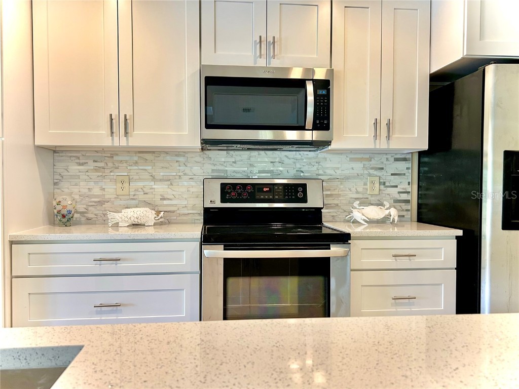 17017 Paula Lane Lutz FL 33558 - LKBARBARA LKHELENLKELLEN+4LK TB8403457 image20