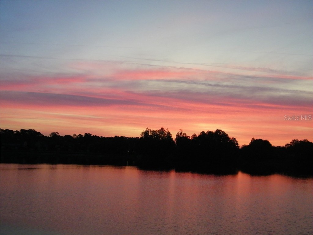 17017 Paula Lane Lutz FL 33558 - LKBARBARA LKHELENLKELLEN+4LK TB8403457 image3