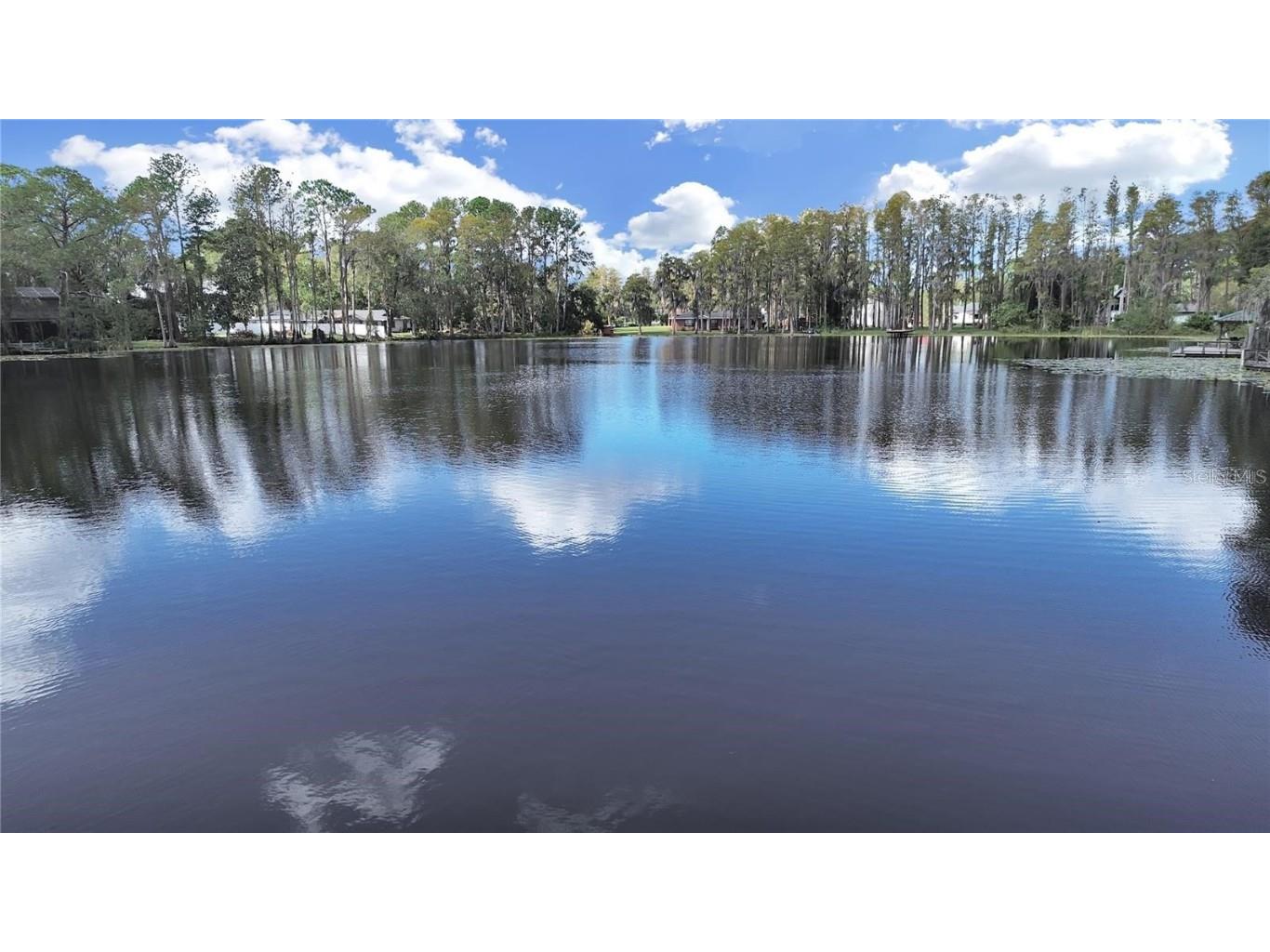 17017 Paula Lane Lutz FL 33558 - LKBARBARA LKHELENLKELLEN+4LK TB8403457 image36