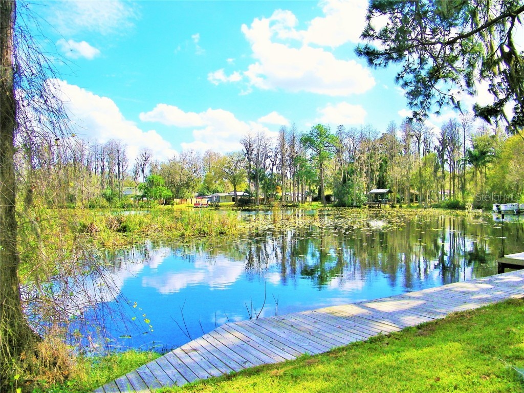 17017 Paula Lane Lutz FL 33558 - LKBARBARA LKHELENLKELLEN+4LK TB8403457 image45